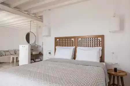 Alissachni Mykonos - 55