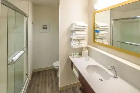 Hampton Inn Houston Downtown - 27