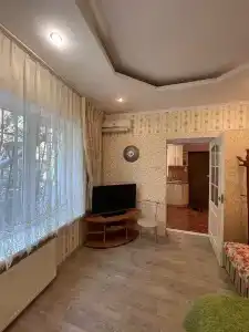 Кипарис на Красноармейском - 12