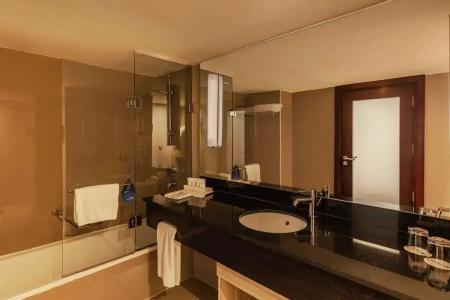 Radisson Blu, Cairo Heliopolis - 76