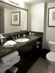 DoubleTree by Hilton Charlotte Airport - 28