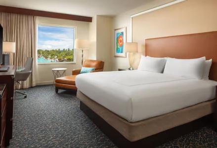 Hilton Orlando - 34