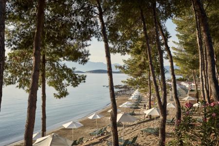 Candia Park Village - 23