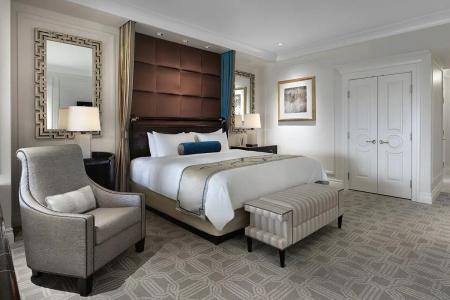 The Venetian® Resort Las Vegas - 53