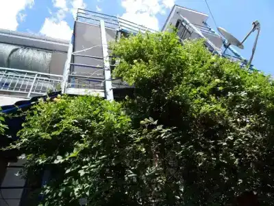 Белая Чайка - 3