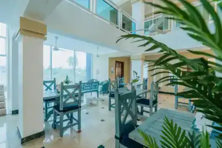 Green Coast - 18