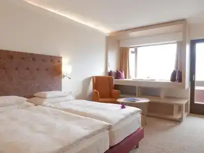 Alpin - Das Sporthotel - 9