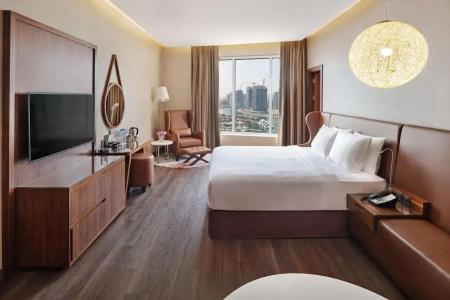 Radisson Blu, Dubai Canal View - 51