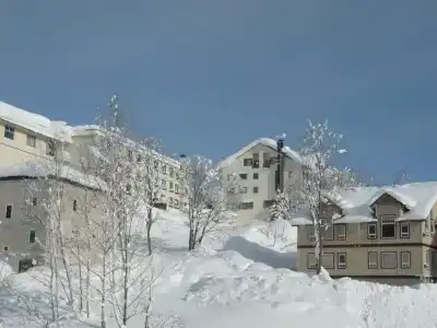 Niseko Park - 29