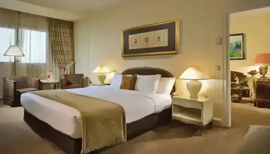 Sonesta Tower & Casino Cairo - 60