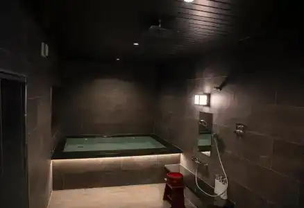 Ryokan Seiryu (Specialised in Hida beef) - 17