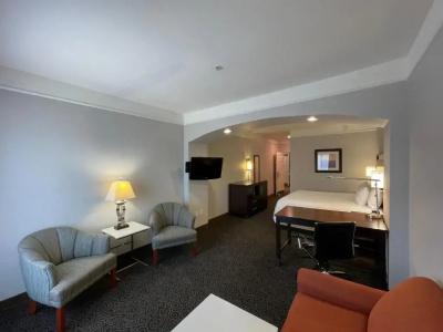 La Quinta by Wyndham Houston West at Clay Road - 70