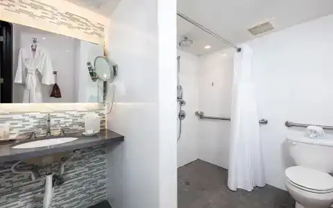 The Palms & Spa - 52