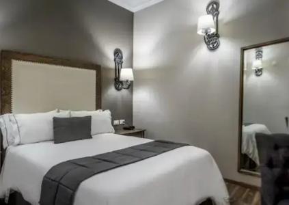 Historico Central, Fine Coffee Shop & Walking tour included - 79
