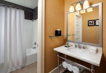 Sheraton Gunter San Antonio - 47
