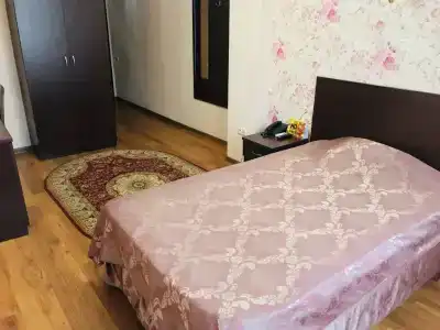 Sultan Beibarys - 22