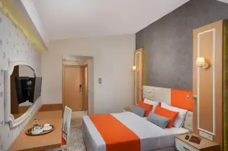 Golden Orange - 26