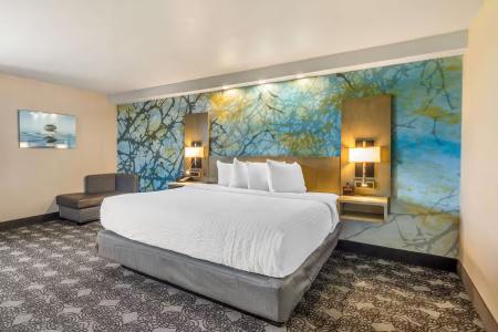 Clarion Inn - 72