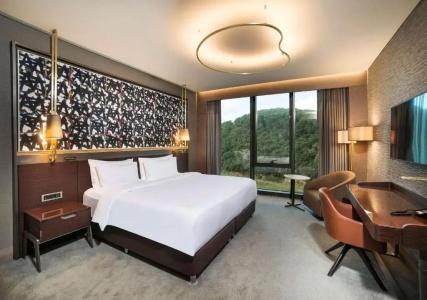 Radisson Blu, Vadistanbul - 40