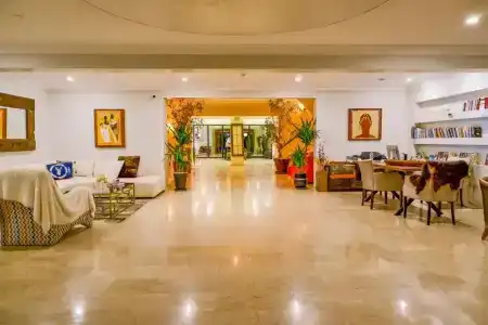 Didi - 22