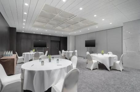 Crowne Plaza Geneva, An Ihg - 25