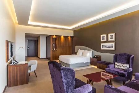 Radisson Blu, Dubai Waterfront - 52