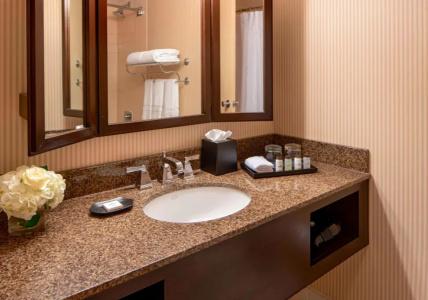 Sheraton Houston Brookhollow - 64