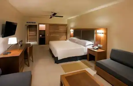 Newly Renovated - 36