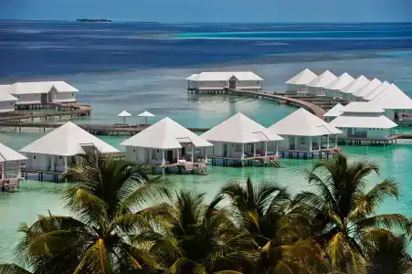 Diamonds Athuruga Maldives Resort & Spa - 36