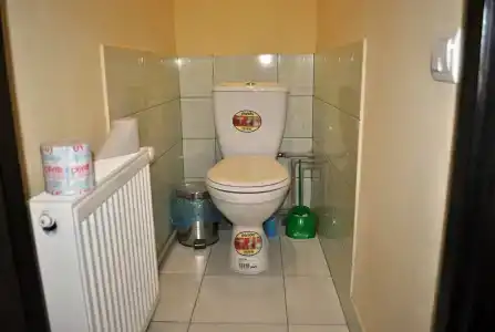 Фокс - 6