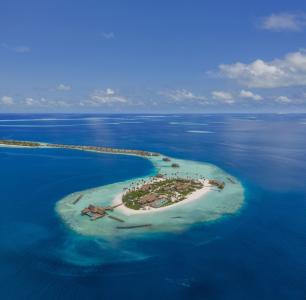 Waldorf Astoria Maldives Ithaafushi - 60
