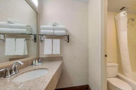 Clarion Anaheim Resort - 33