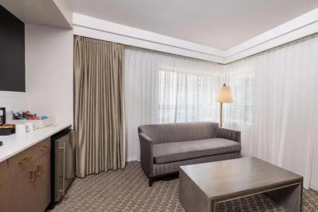 The Statler Dallas, Curio Collection By Hilton - 58