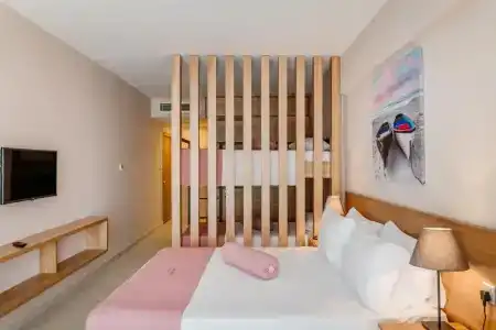 Olivia Palm - 9