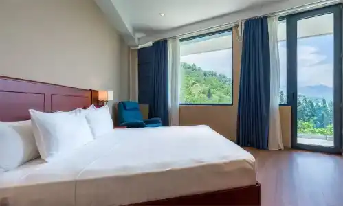 Litz Resort - 42