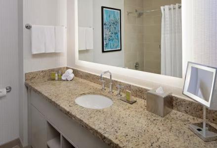DoubleTree by Hilton Chicago Magnificent Mile - 49