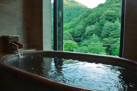 Arima Onsen Gekkoen Korokan - 35