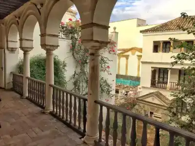 Las Casas de la Judería de Córdoba - 20