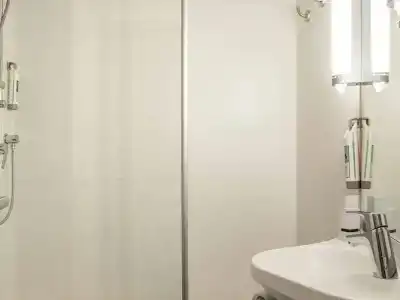 Ibis Cornella - 33