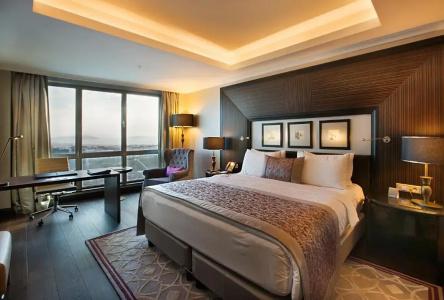 Dedeman Bostanci Istanbul & Convention Center - 63