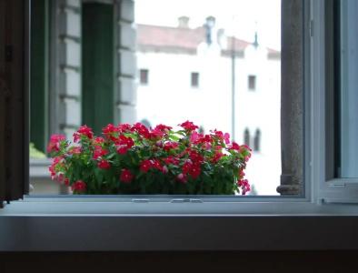 Astoria Italia - 35