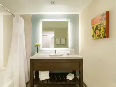 Hyatt Regency - 48