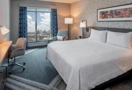 Hilton Garden Inn Austin University Capitol District, Tx - 62