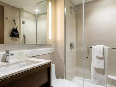 Holiday Inn Brooklyn Downtown, An Ihg - 58