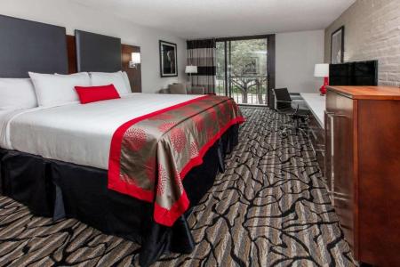 Ramada by Wyndham Austin South - 35