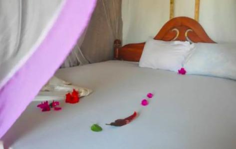 New Jambo Bungalows - 1