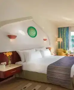 Baron Palms Resort Sharm El Sheikh (Adults Only) - 47