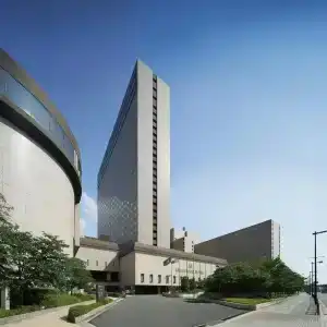 RIHGA Royal - 0