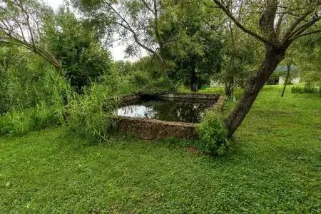 Груша - 9