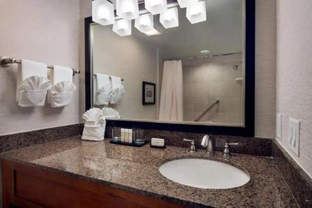 Embassy Suites Austin - Central - 57